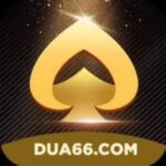 Dua66 Game
